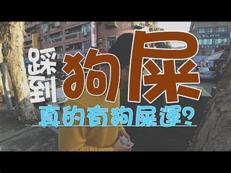 踩到狗大便幾號|經常說要走狗屎運，狗屎運是什麼運？